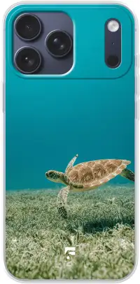Turtle iPhone 17 Pro Max