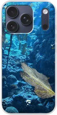 Coral Reef iPhone 17 Pro