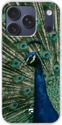 Peacock iPhone 17 Pro