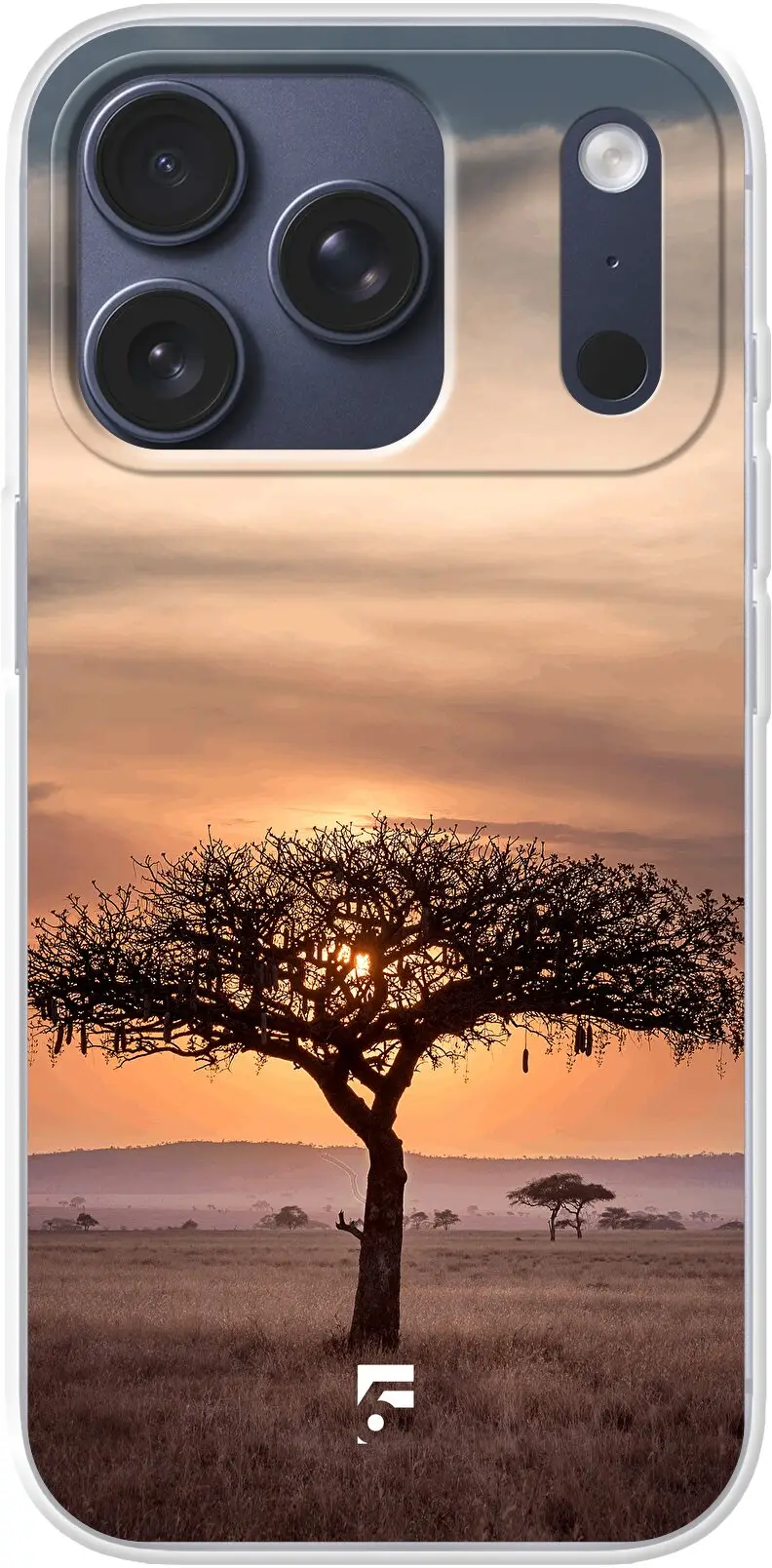 Tanzania iPhone 17 Pro