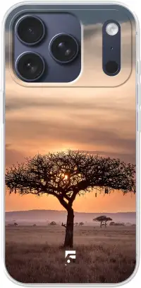 Tanzania iPhone 17 Pro
