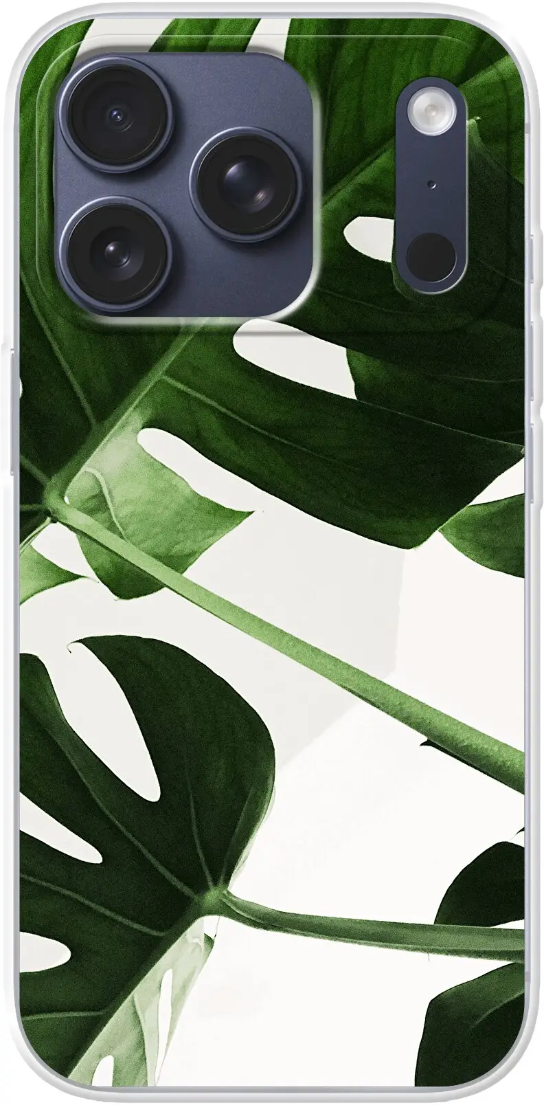 Tropical Plants iPhone 17 Pro