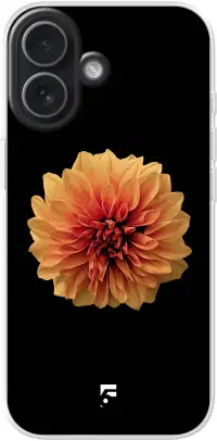 Butterscotch Blossom iPhone 17
