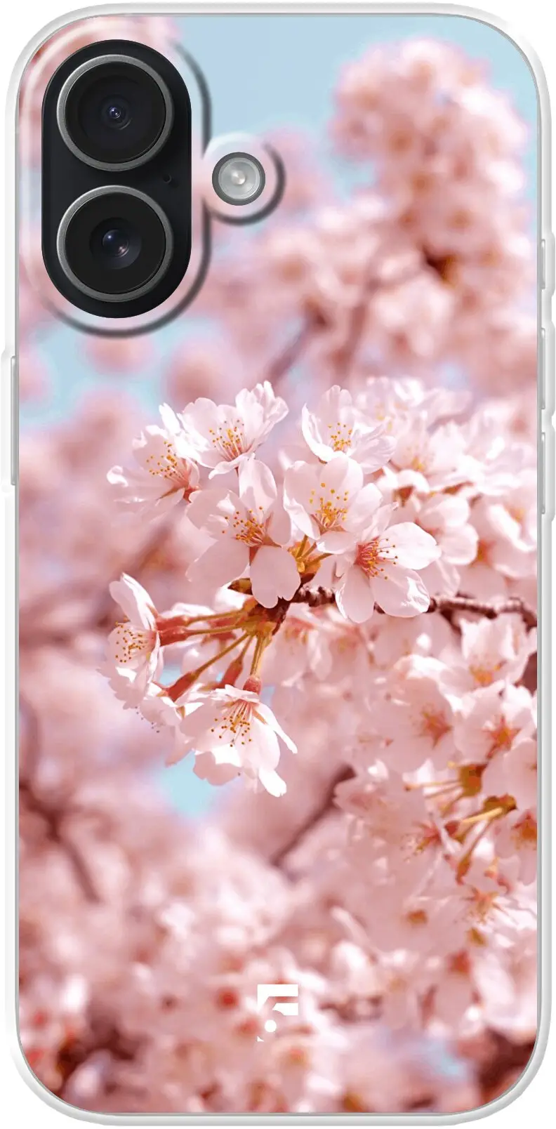 Cherry Blossom iPhone 17