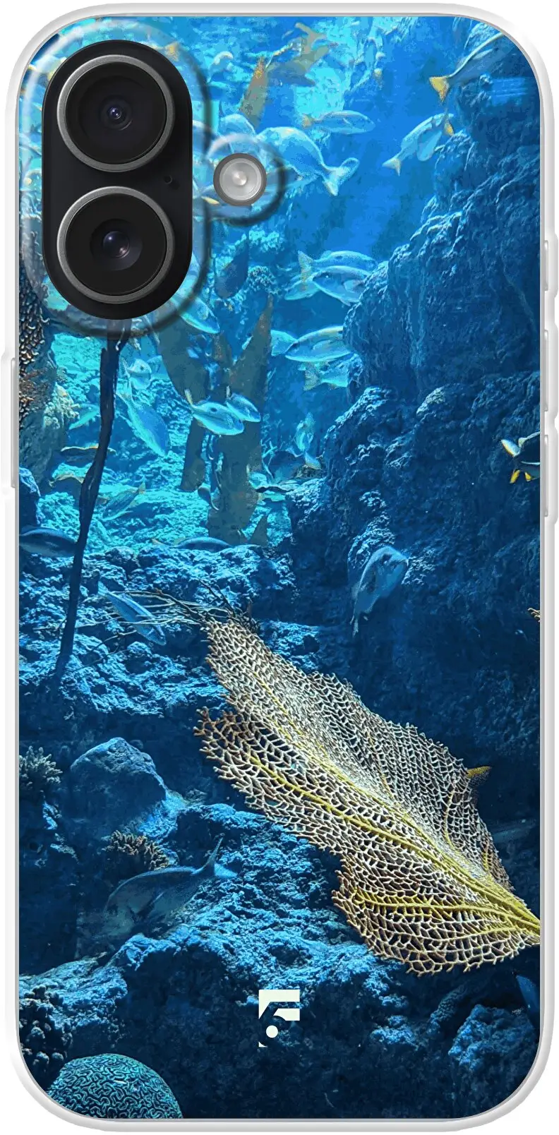 Coral Reef iPhone 17