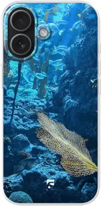 Coral Reef iPhone 17