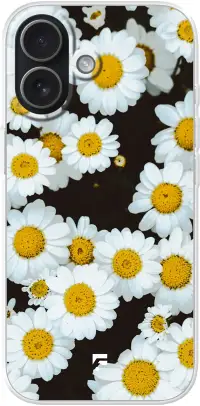 Daisies iPhone 17