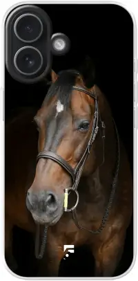 Horse iPhone 17