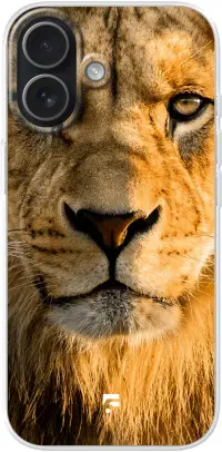 Leo iPhone 17