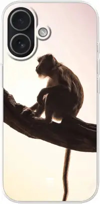 Macaque iPhone 17