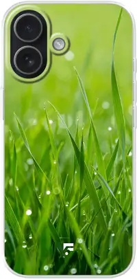 Morning Dew iPhone 17