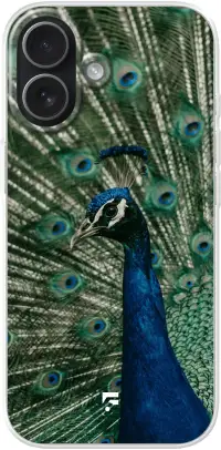 Peacock iPhone 17