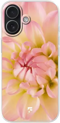 Pink Petals iPhone 17