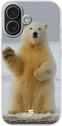 Polar Bear iPhone 17