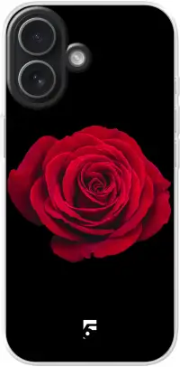 Radiant Rose iPhone 17