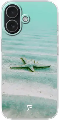 Sea Star iPhone 17