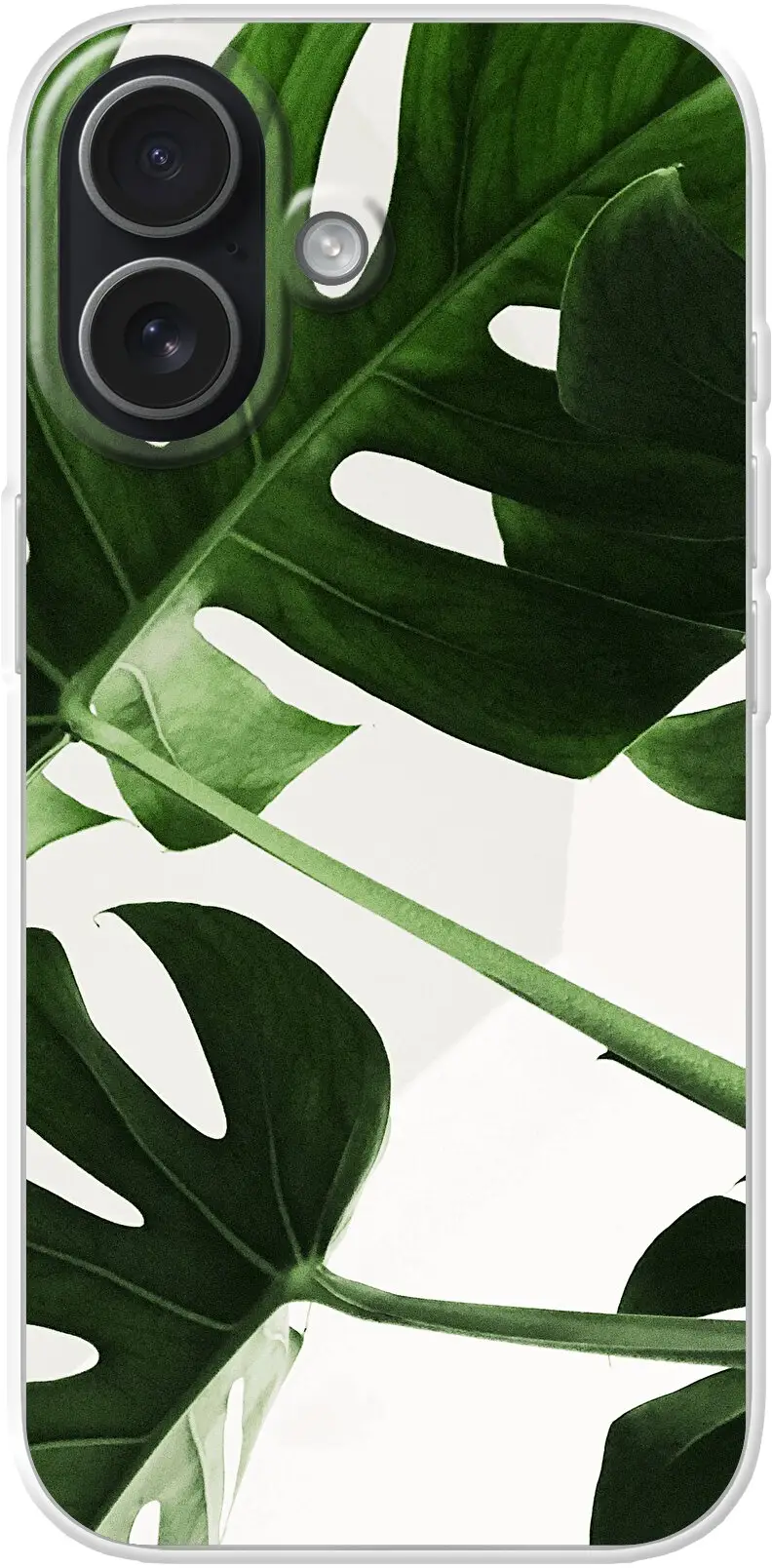 Tropical Plants iPhone 17