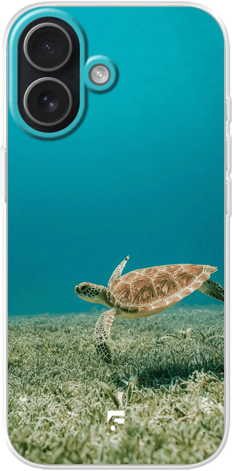 Turtle iPhone 17