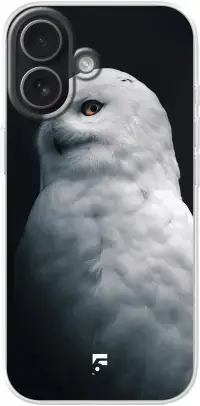 Witte Uil iPhone 17