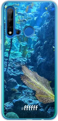 Coral Reef P20 Lite (2019)