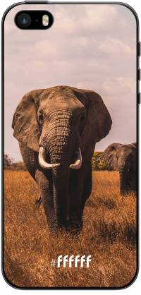 Elephants iPhone 5