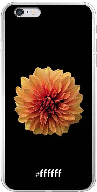 Butterscotch Blossom iPhone 6 Plus