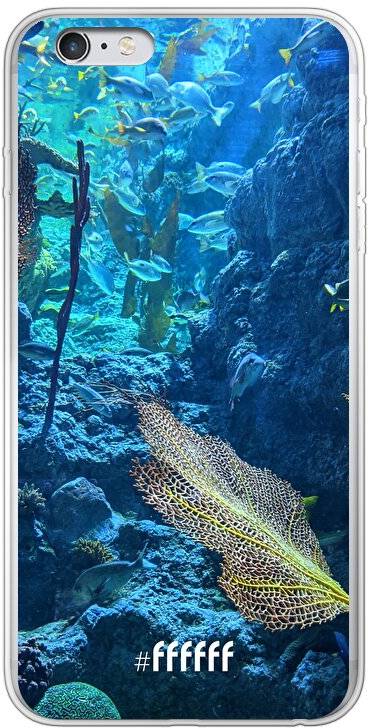 Coral Reef iPhone 6 Plus