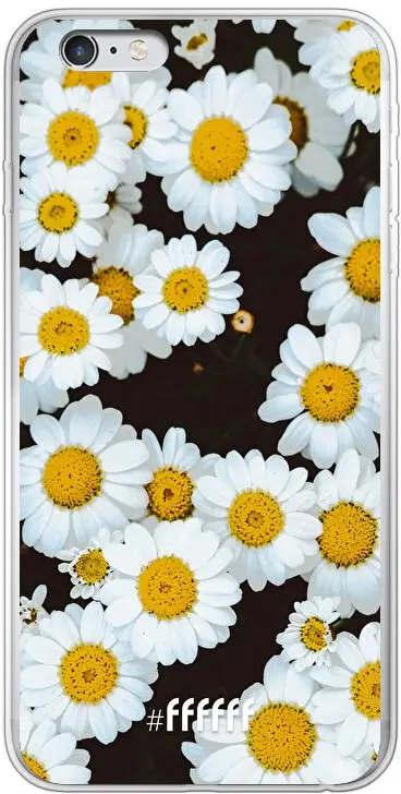 Daisies iPhone 6 Plus