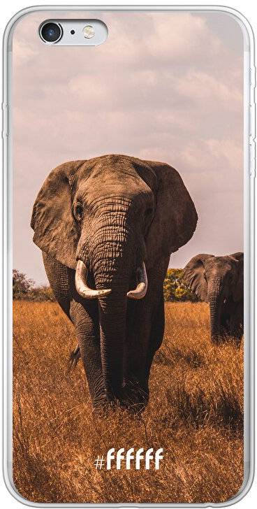 Elephants iPhone 6 Plus