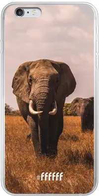 Elephants iPhone 6 Plus