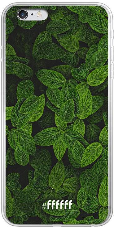 Jungle Greens iPhone 6 Plus