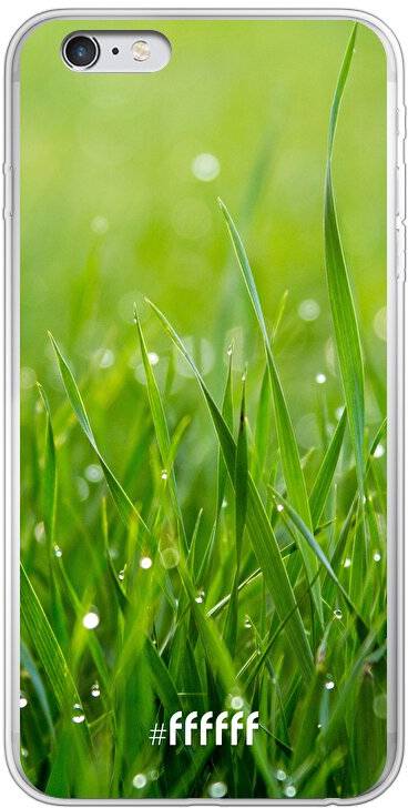 Morning Dew iPhone 6 Plus
