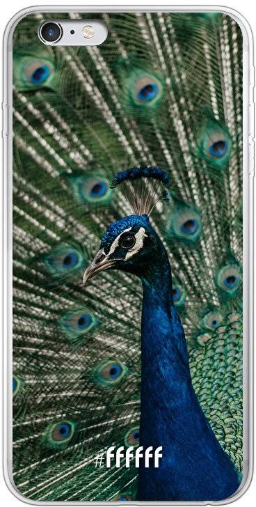 Peacock iPhone 6 Plus