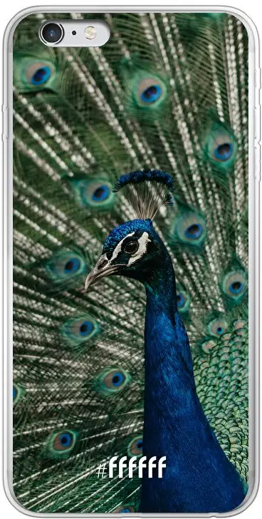 Peacock iPhone 6 Plus