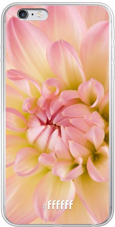 Pink Petals iPhone 6 Plus