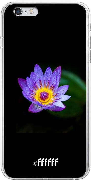 Purple Flower in the Dark iPhone 6 Plus