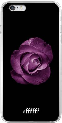 Purple Rose iPhone 6 Plus