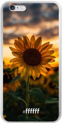 Sunset Sunflower iPhone 6 Plus