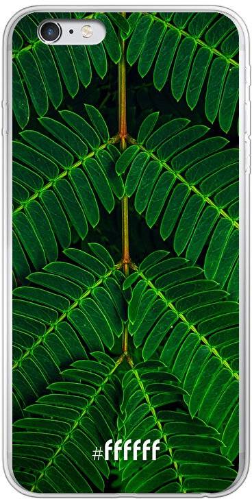 Symmetric Plants iPhone 6 Plus