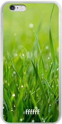 Morning Dew iPhone 6s Plus