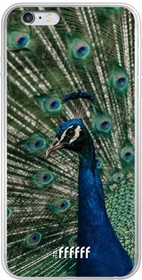 Peacock iPhone 6s Plus