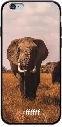 Elephants iPhone 6s