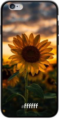 Sunset Sunflower iPhone 6s