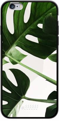 Tropical Plants iPhone 6s