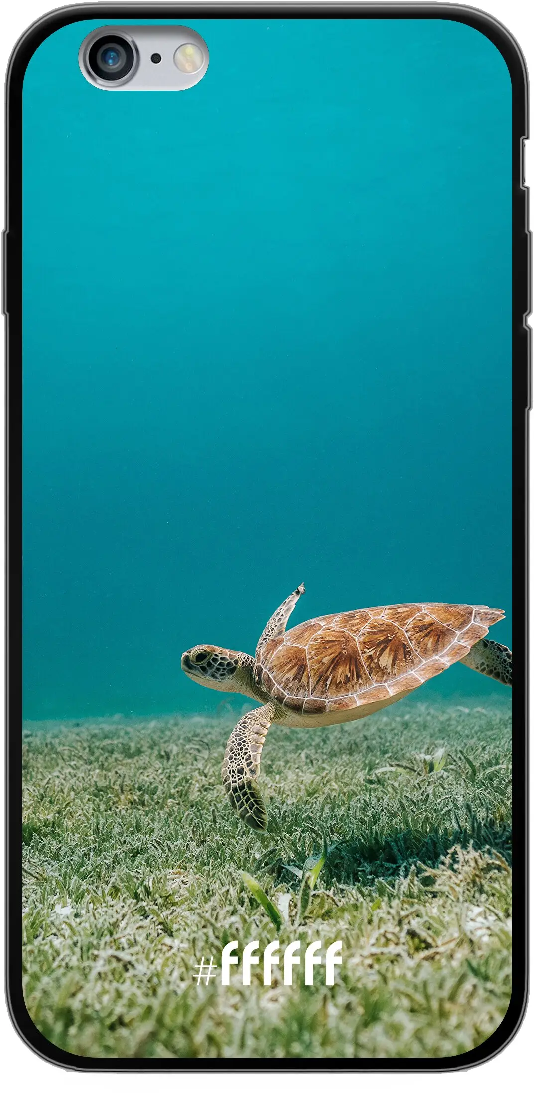 Turtle iPhone 6s