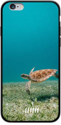 Turtle iPhone 6s
