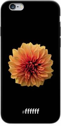 Butterscotch Blossom iPhone 6