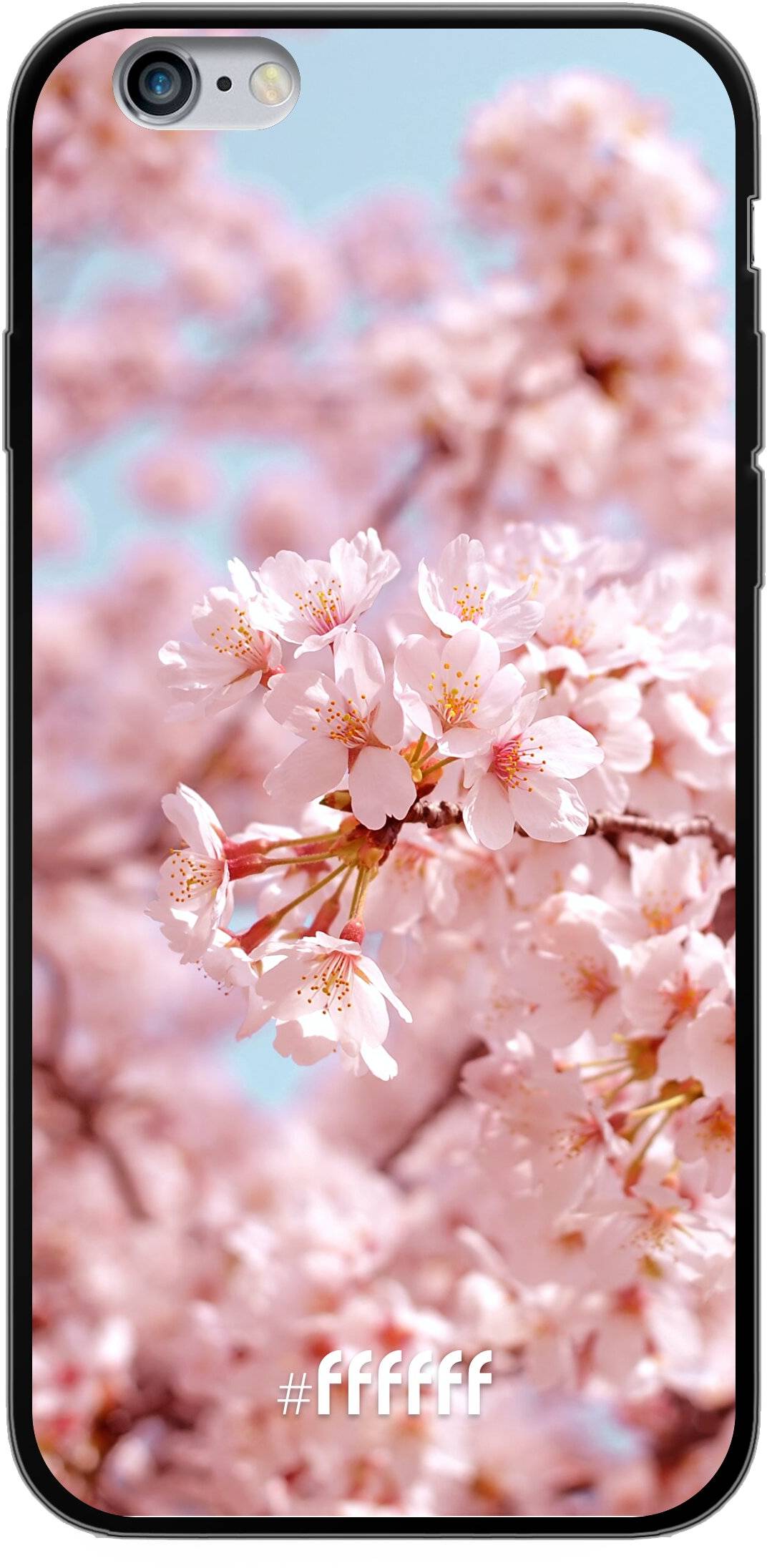 Cherry Blossom iPhone 6