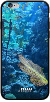Coral Reef iPhone 6