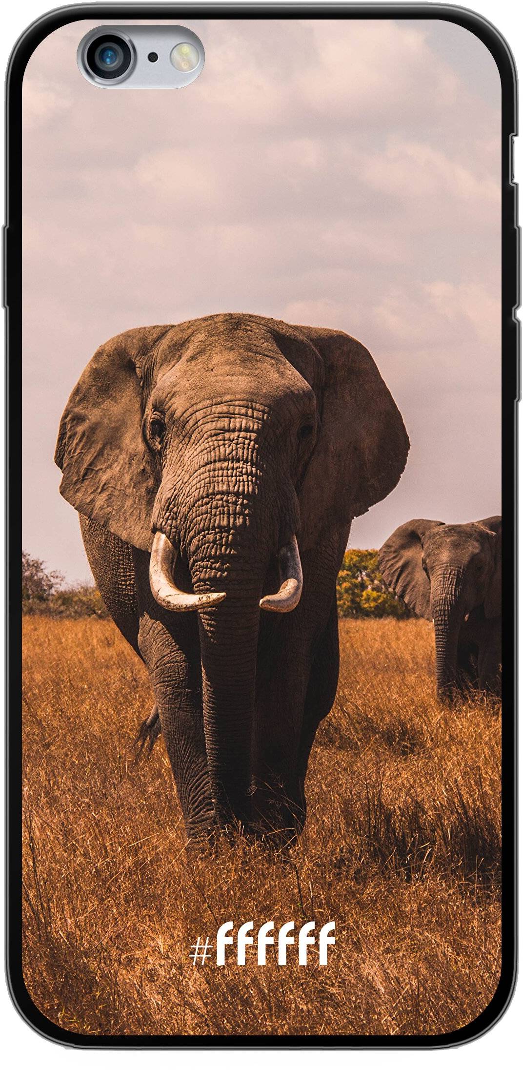 Elephants iPhone 6